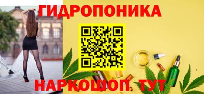 спиды Берёзовский